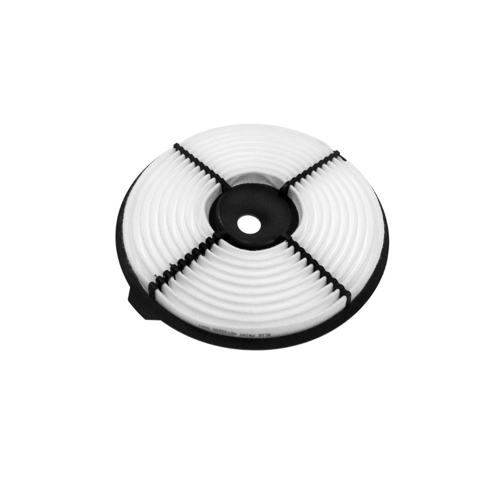 Brama Carcare Filtro De Aire 17801 15060
