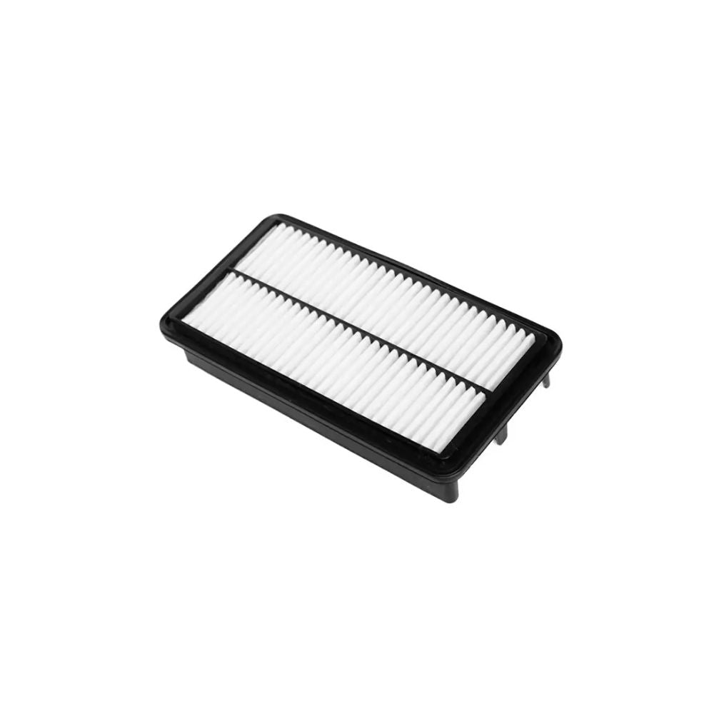 Brama Carcare Filtro De Aire 17801 16020