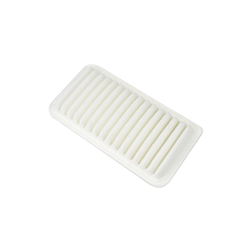 Brama Carcare Filtro De Aire 17801 22020