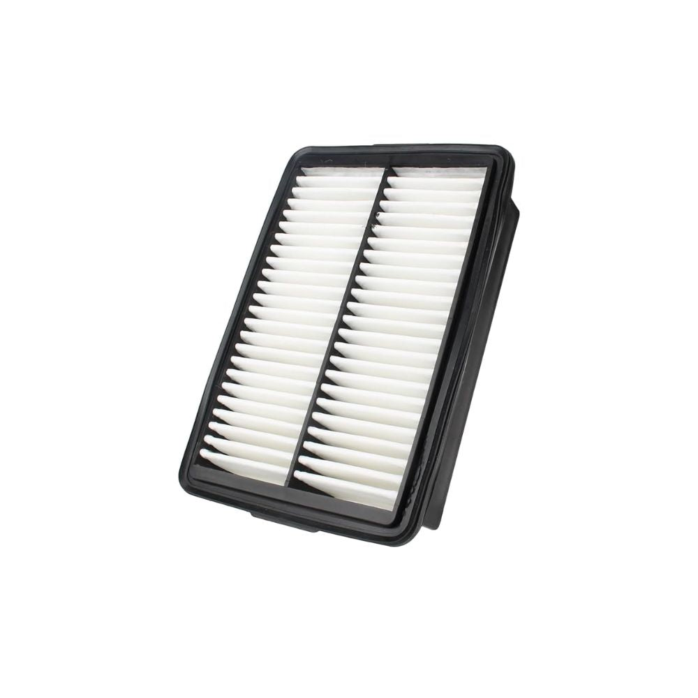 Brama Carcare Filtro De Aire 28113 F2000