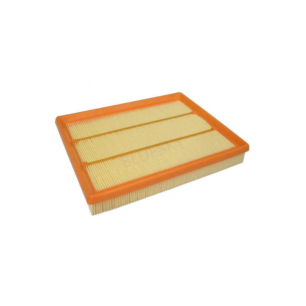Brama Carcare Filtro De Aire 9041833