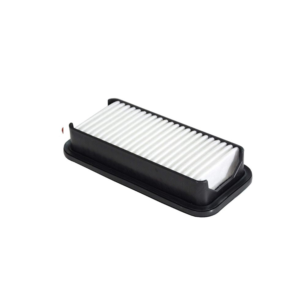 Brama Carcare Filtro De Aire 1109101xs16xb
